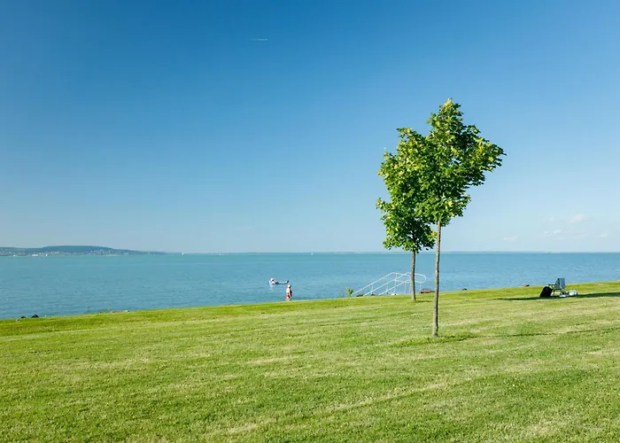 Zamia 2 By Interhome * 자르마디