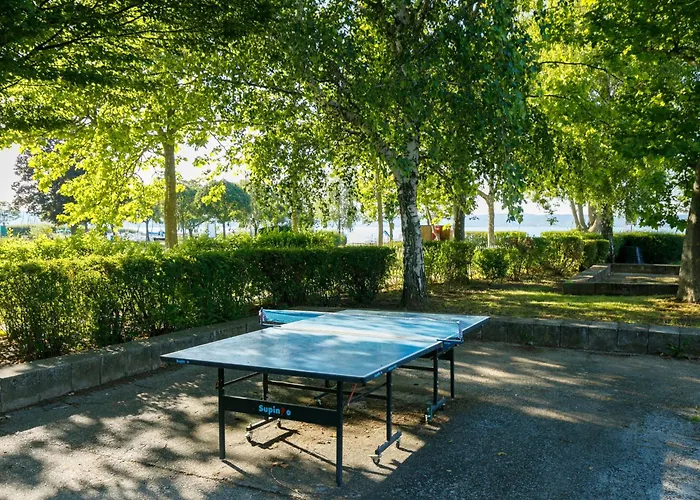 Zamia 2 By Interhome 아파트 자르마디